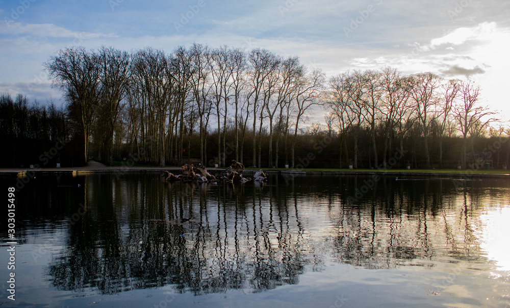 Fototapeta premium reflection of trees in the water with blue sky