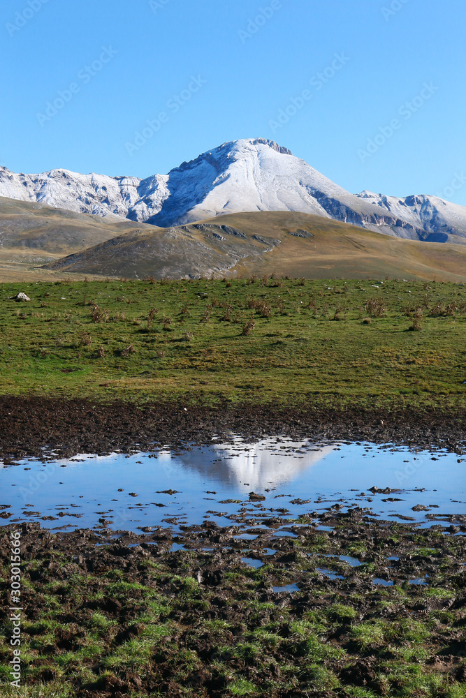 Fototapeta premium Riflessi