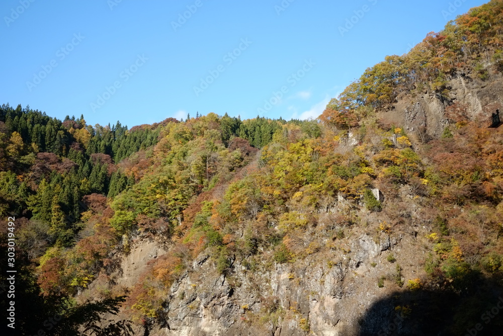 秋の風景