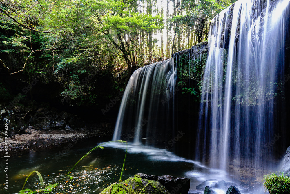 Fototapeta premium waterfall in forest