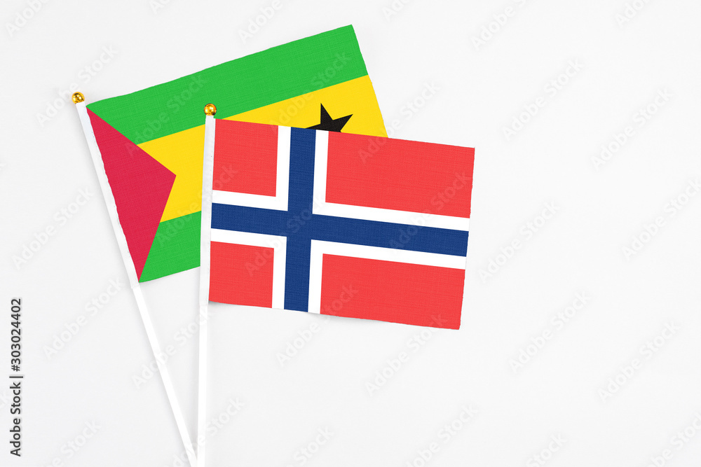 Norway and Saudi Arabia stick flags on white background. High quality fabric, miniature national flag. Peaceful global concept.White floor for copy space.