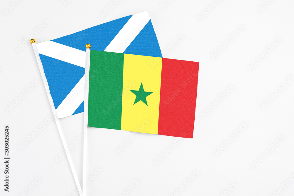 Senegal and Scotland stick flags on white background. High quality fabric, miniature national flag. Peaceful global concept.White floor for copy space.