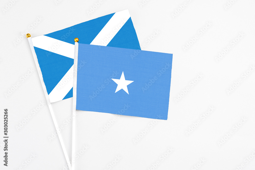 Somalia and Scotland stick flags on white background. High quality fabric, miniature national flag. Peaceful global concept.White floor for copy space.
