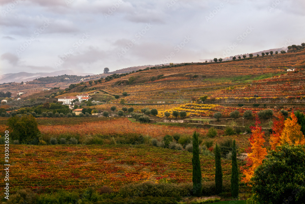 Autumn in the Duoro Valley 1