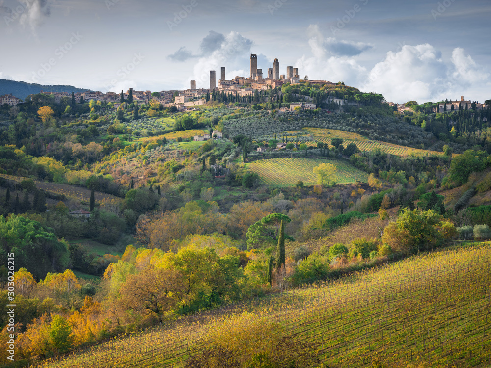 hills in sun lights with view to old city San Gimignano with towers in Tuscany in Italy