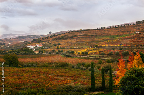 Autumn in the Duoro Valley 1