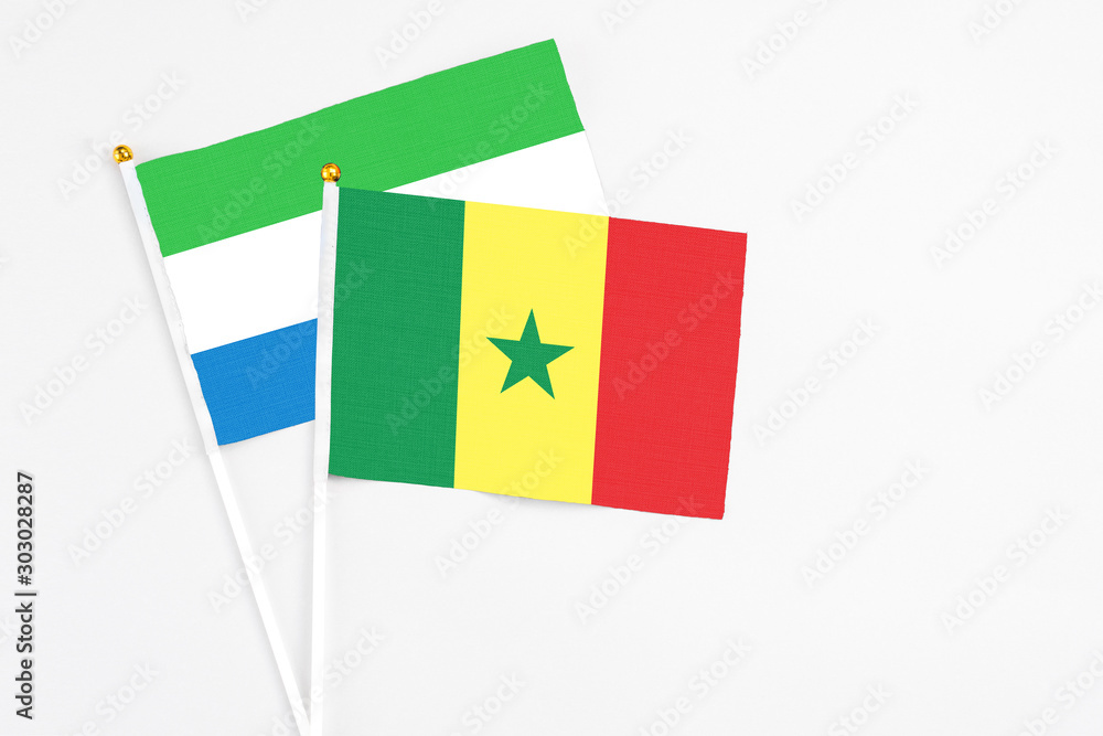 Fototapeta premium Senegal and Sierra Leone stick flags on white background. High quality fabric, miniature national flag. Peaceful global concept.White floor for copy space.