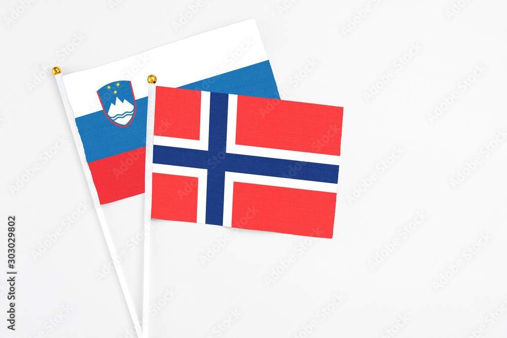 Bouvet Islands and Slovenia stick flags on white background. High quality fabric, miniature national flag. Peaceful global concept.White floor for copy space. Bouvet Islands and Slovenia stick flags on white background. High quality fabric, miniature national flag. Peaceful global concept.White floor for copy space.
