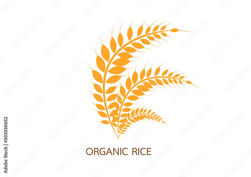 Vector logo label or package with yellow rice wheat rye grains. Concept for asian agriculture organic cereal products bread and bakery factory.Vector icon EPS10. Vector logo label or package with yellow rice wheat rye grains. Concept for asian agriculture organic cereal products bread and bakery factory.Vector icon EPS10.