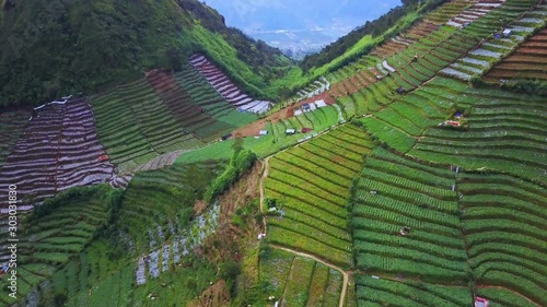 Beautiful terraced farmland in Dieng Plateau photo