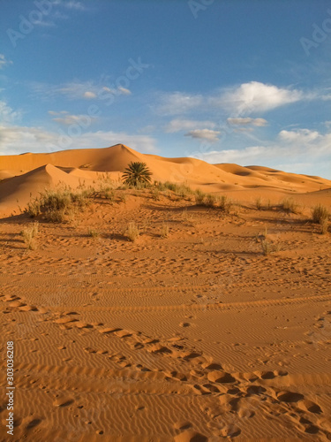 Moroccan Sahara Desert 1