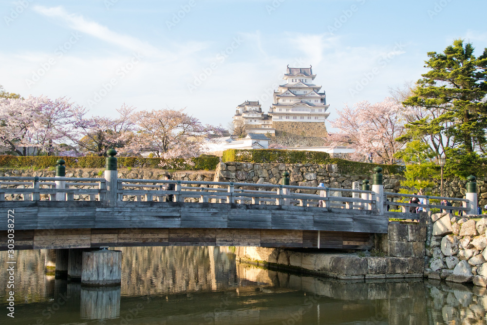 Fotografie Himeji castle wiith cherry blossom