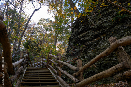 Walkway through the woods at Bushkill Falls, Pennsylvania   