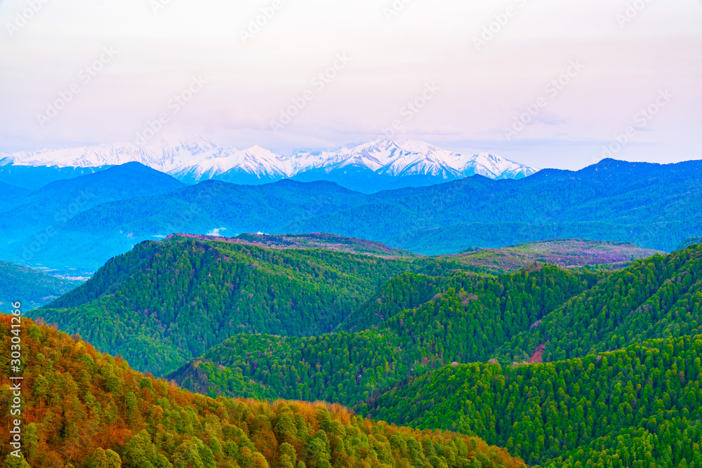 The mountains tree in autumn. Caucasus mountains and pines with sky space background.