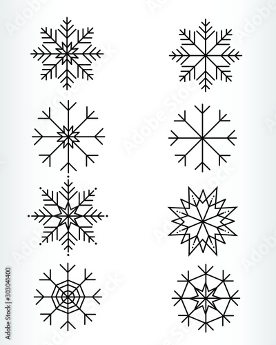 Various Snow flake design on vector for winter and christmas newyear