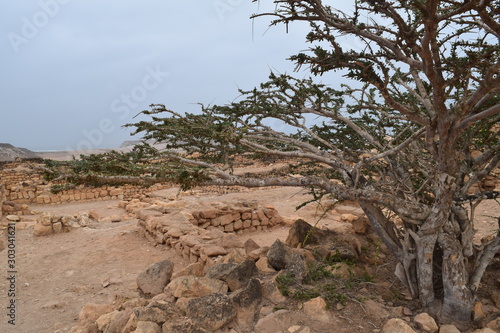 Sumhuram Archaeological Park, Taqah, Dhofar, Oman © Yuka