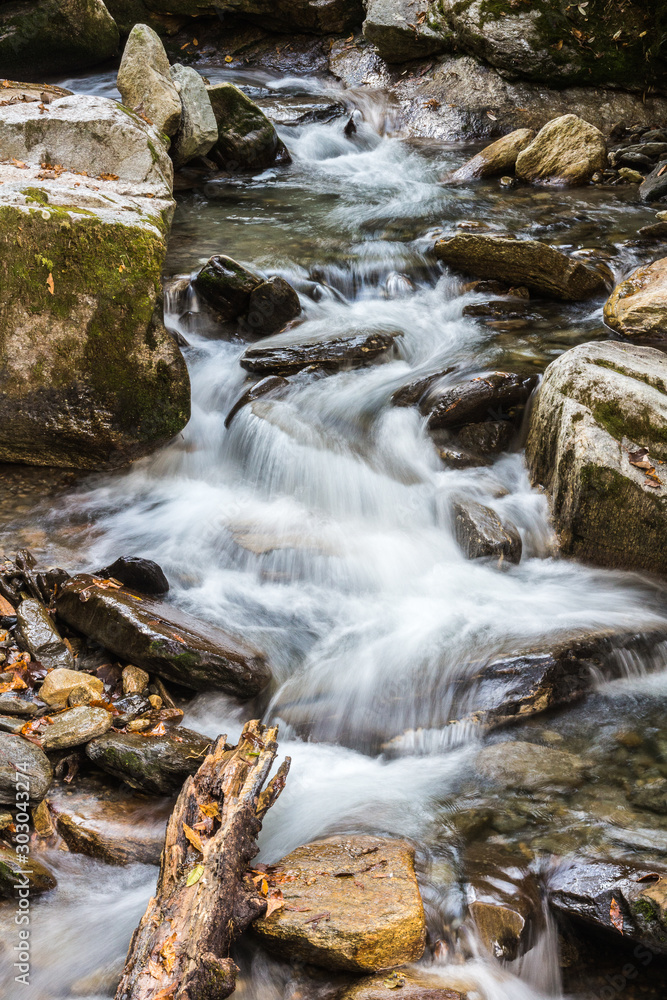 waterfall in the forest