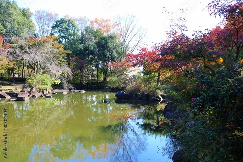 秋　空　池　風景　杤木