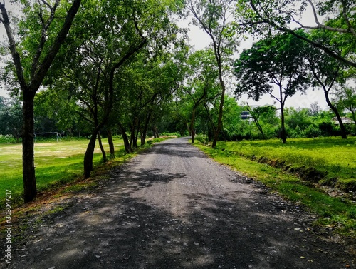 path between fields