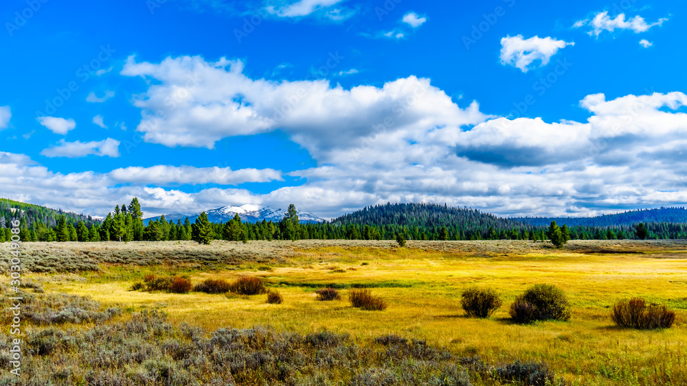 The grass lands in the western most part of Yellowstone National Park along Highway 191 in Wyoming, United States of America