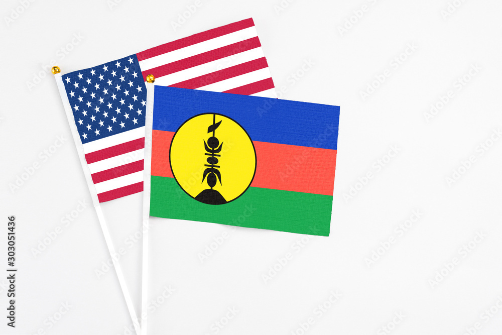 Naklejka premium New Caledonia and United States stick flags on white background. High quality fabric, miniature national flag. Peaceful global concept.White floor for copy space.
