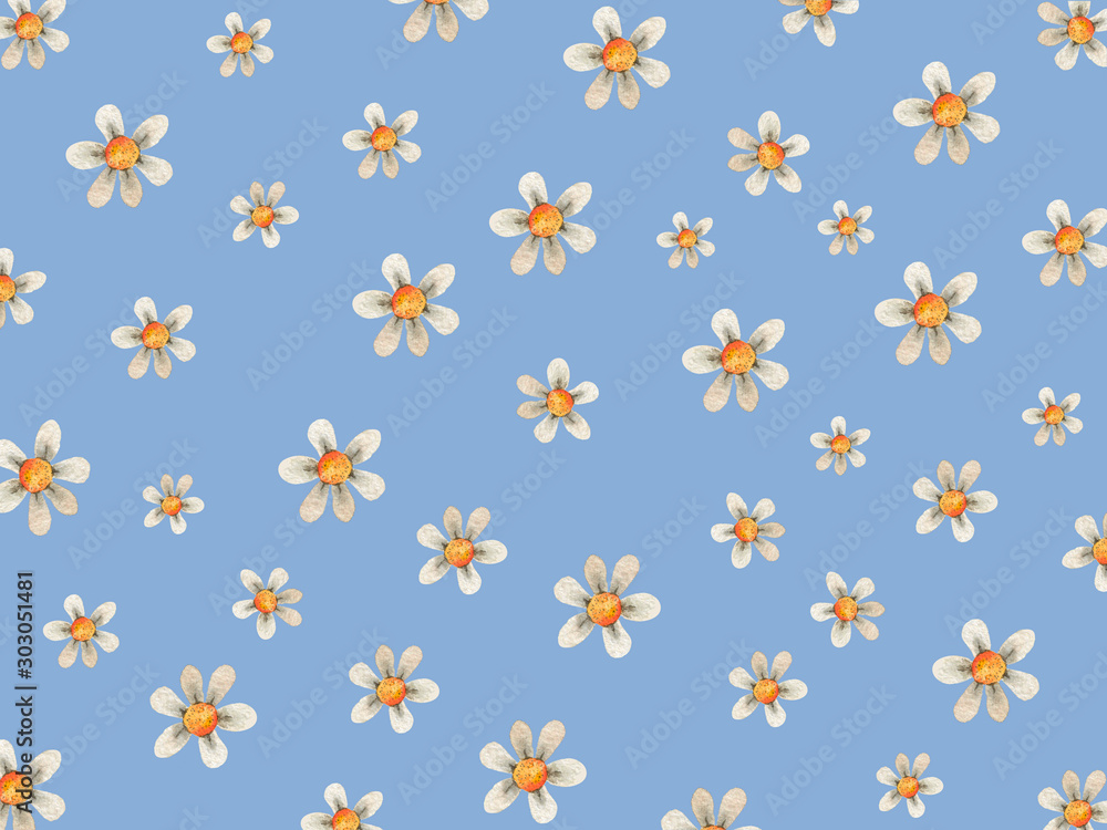 Floral flower background with daises chamomiles Floral flower background with daises chamomiles