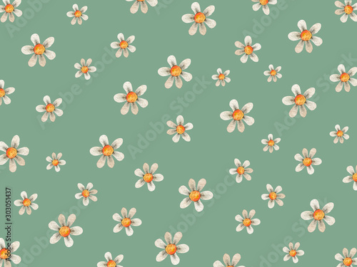 watercolor flower background with daises chamomiles