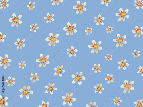 Floral flower background with daises chamomiles