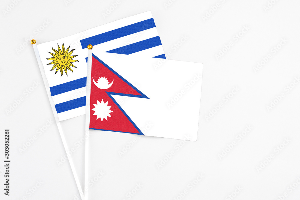 Nepal and Uruguay stick flags on white background. High quality fabric, miniature national flag. Peaceful global concept.White floor for copy space.