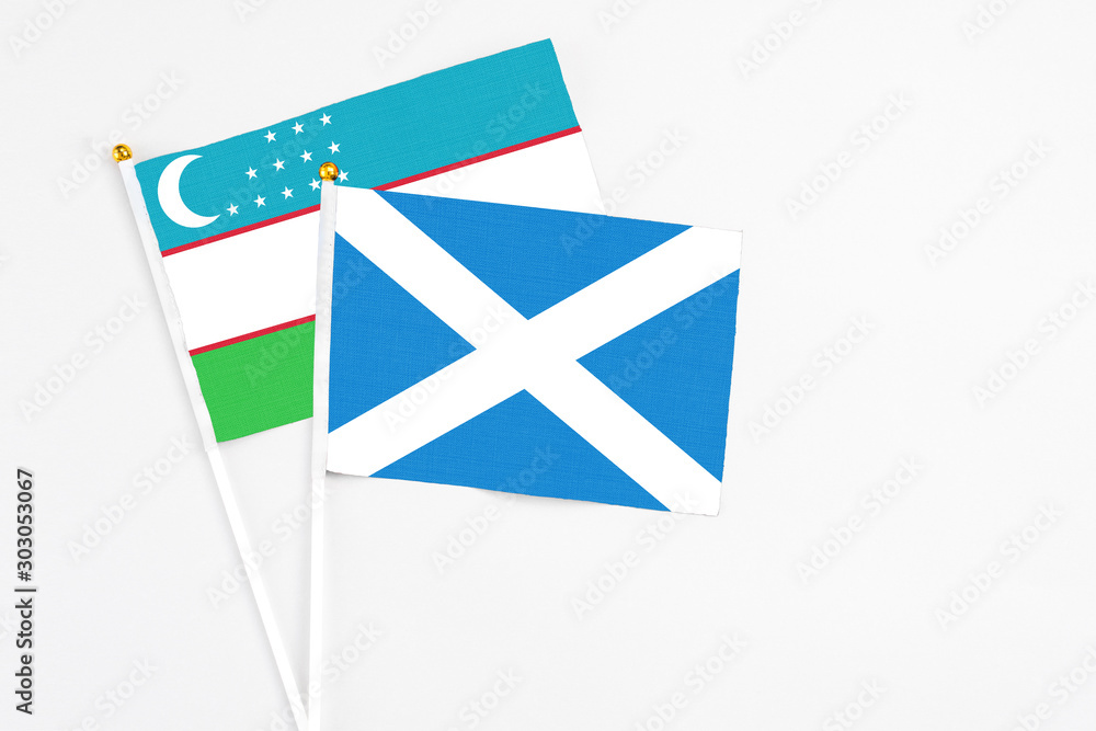 Scotland and Uzbekistan stick flags on white background. High quality fabric, miniature national flag. Peaceful global concept.White floor for copy space. Scotland and Uzbekistan stick flags on white background. High quality fabric, miniature national flag. Peaceful global concept.White floor for copy space.