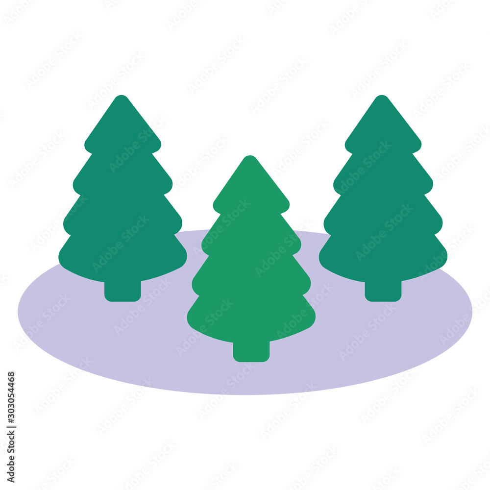 Fototapeta premium pines trees forest winter scene