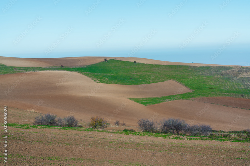 Panoramic view to plowed farm field
