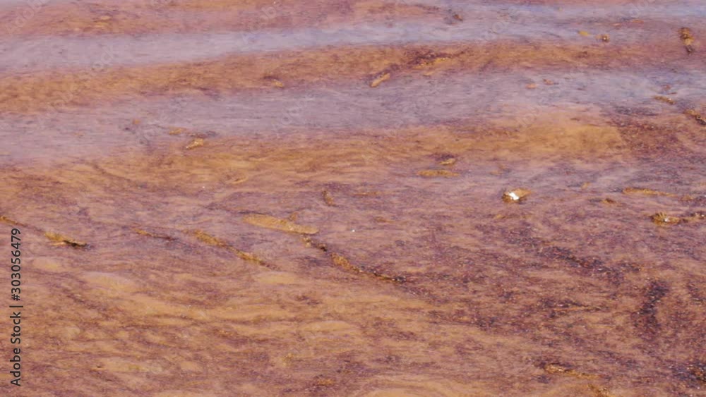 Polluted water at the edge of Lake Pleasant in Arizona undulates up and down near the edge of the lake. It looks like some sort of wood debris is washing up to the shore. The band of brown stretched. Polluted water at the edge of Lake Pleasant in Arizona undulates up and down near the edge of the lake. It looks like some sort of wood debris is washing up to the shore. The band of brown stretched.