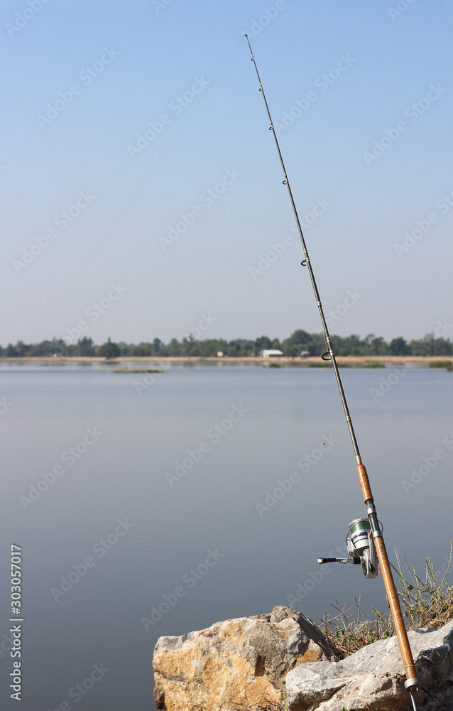 Fishing in swamp with rods. Fishing in swamp with rods.