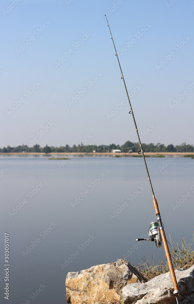 Fishing in swamp with rods.