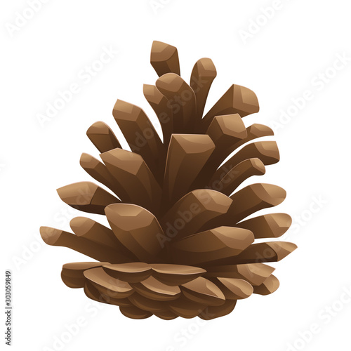 Pine cone on white isolated background. Vector image. Design element.