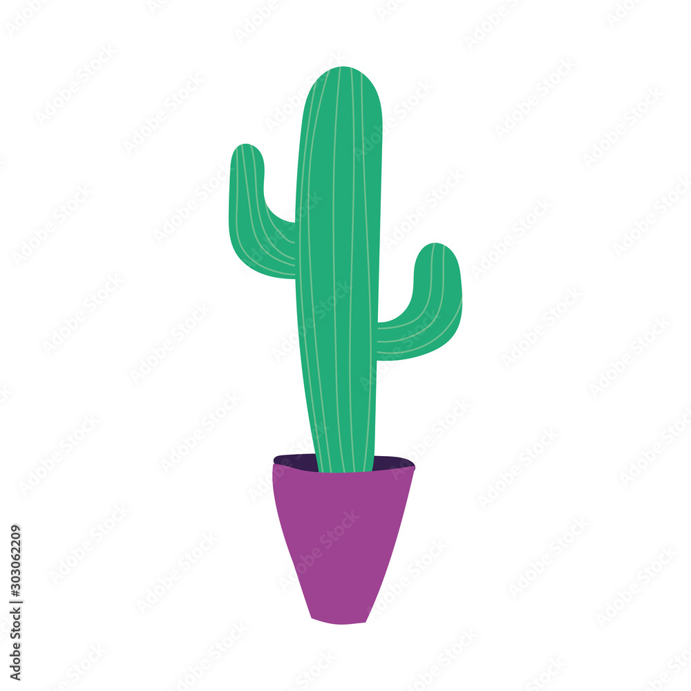 mexican cactus plant nature icon mexican cactus plant nature icon