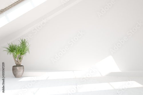 Fototapeta Naklejka Na Ścianę i Meble -  Empty room in white color with home plant. Scandinavian interior design. 3D illustration