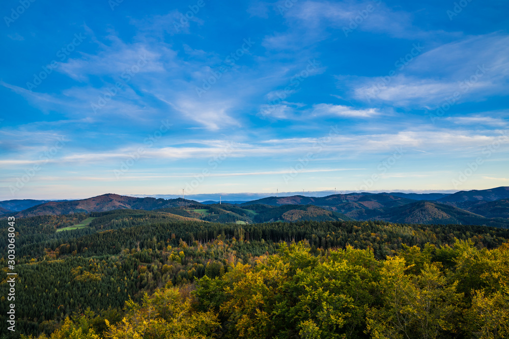Germany, Endless aerial view above tree tops of black forest nature landscape in colorful autumn mood in warm sunset light, a paradise