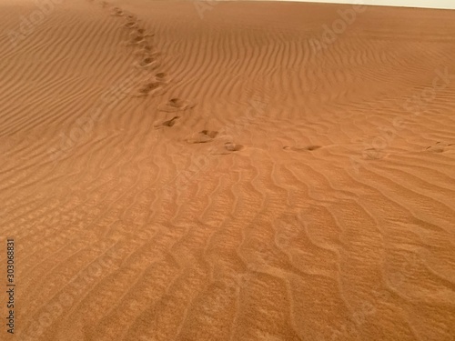 footprints in the sand in the desert