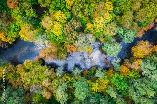 Flying above wonderful forest and river in autumn