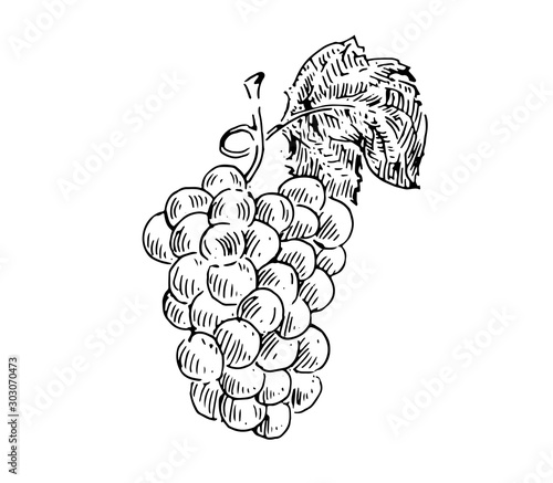Obraz na plátně Bunch of grapes