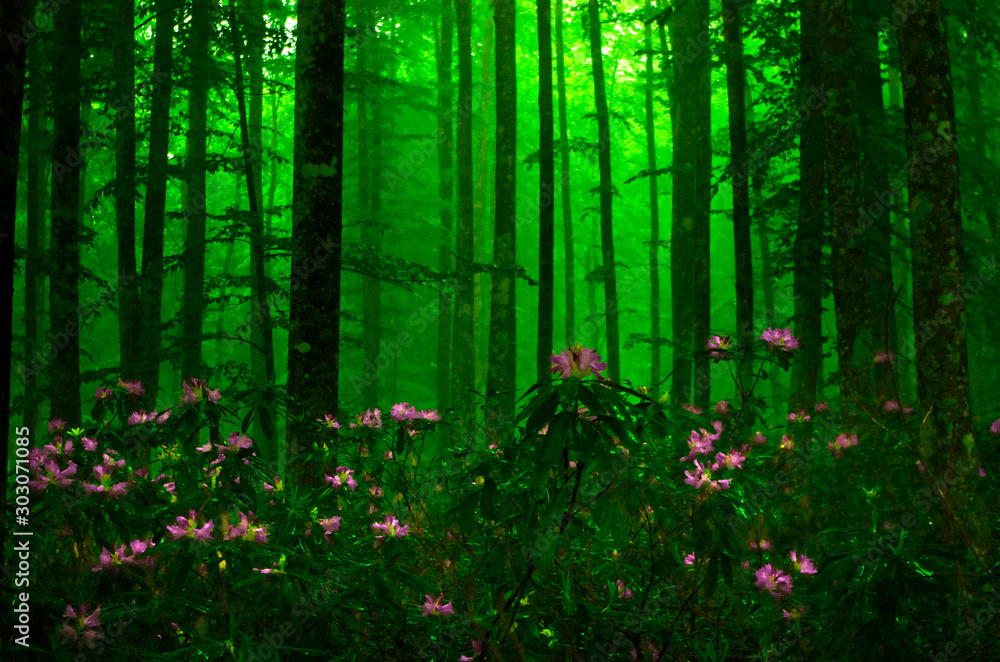 Fototapeta premium green floral background