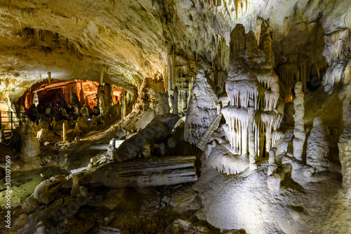Εκτύπωση καμβά Postumia grotte e castello di Predjama