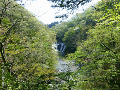 新緑の生瀬の滝