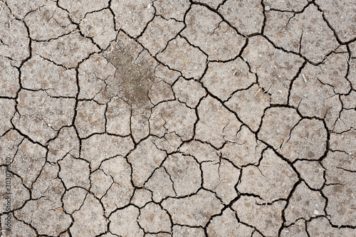 Fototapet Dry cracked soil  by sun burn , arid , summer Thailand