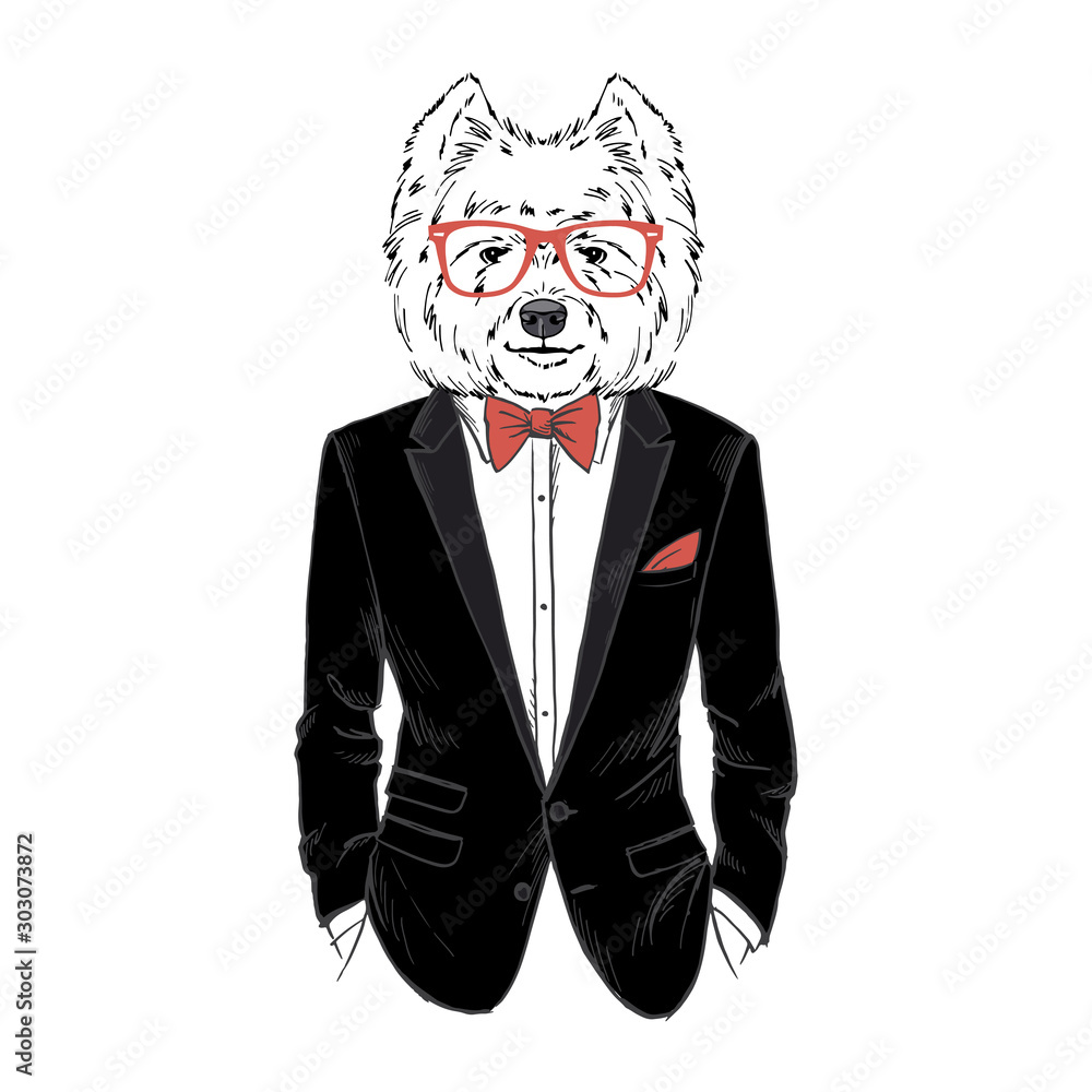 Humanized West Highland white terrier breed dog dressed up in classy  outfits. Design for dogs lovers. Fashion anthropomorphic doggy  illustration. Animal wear tuxedo, tie bow, glasses. Hand drawn Stock Vector  | Adobe