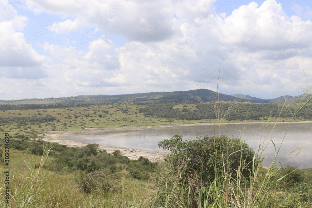 Obraz premium Hippos at the Lake Edward in Uganda