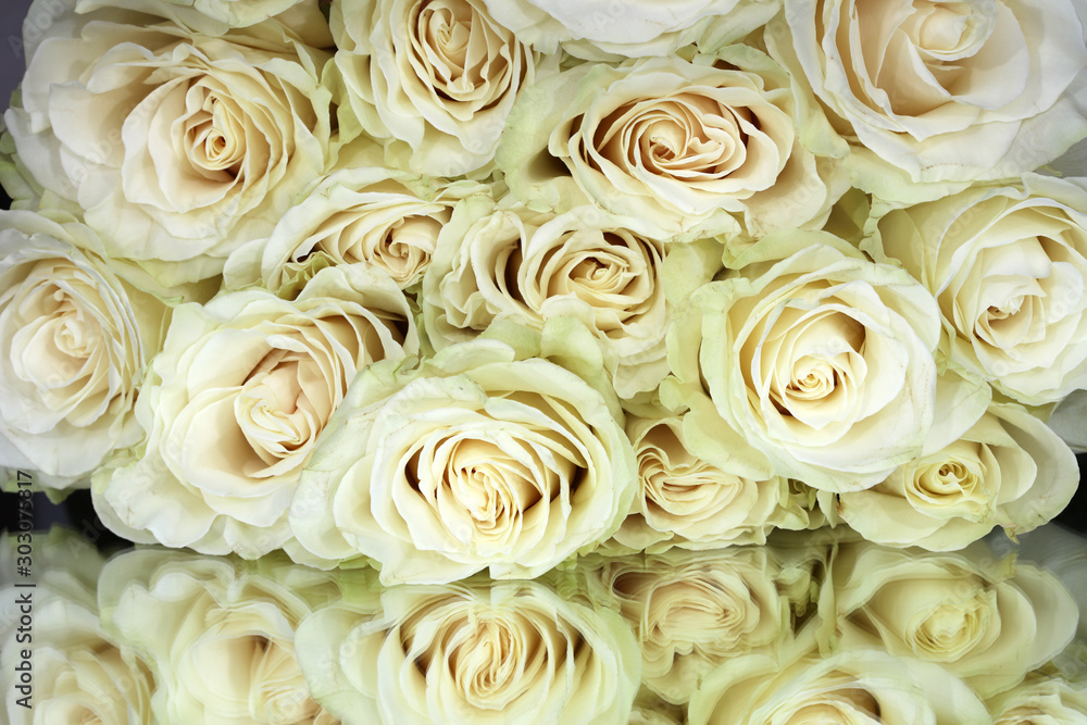 Weisse Rosen auf einem Spiegel Weisse Rosen auf einem Spiegel