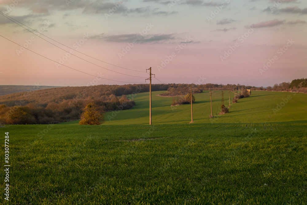 A line of electric poles with cables of electricity in a field with a forest in background in autumn during sunset.